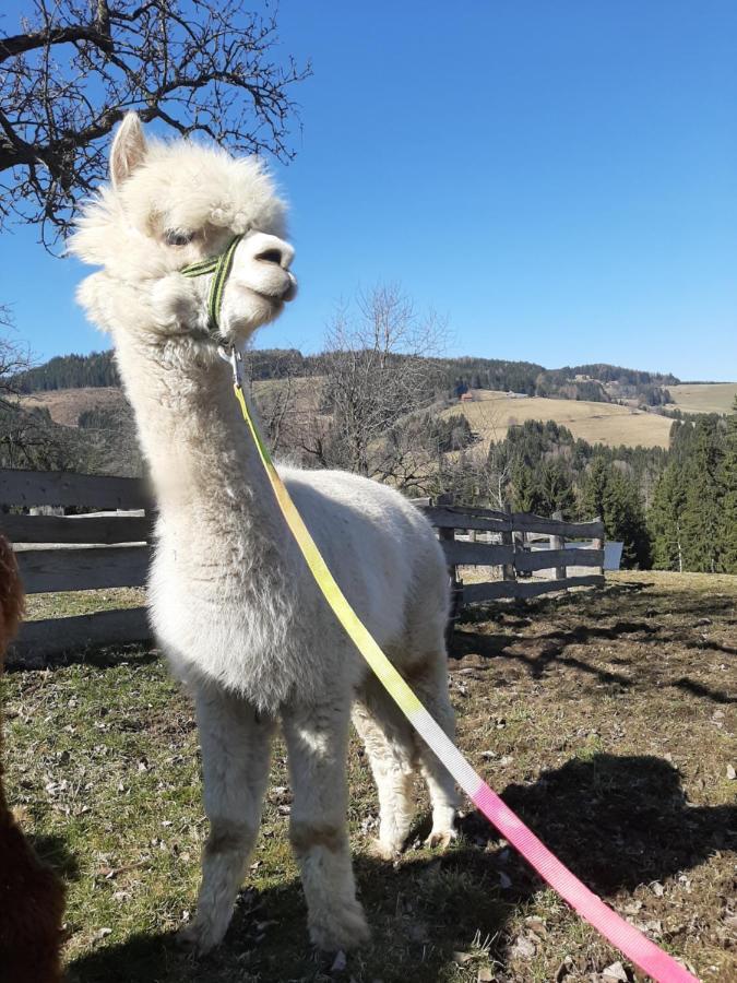 Zukaunighof Farm stay *