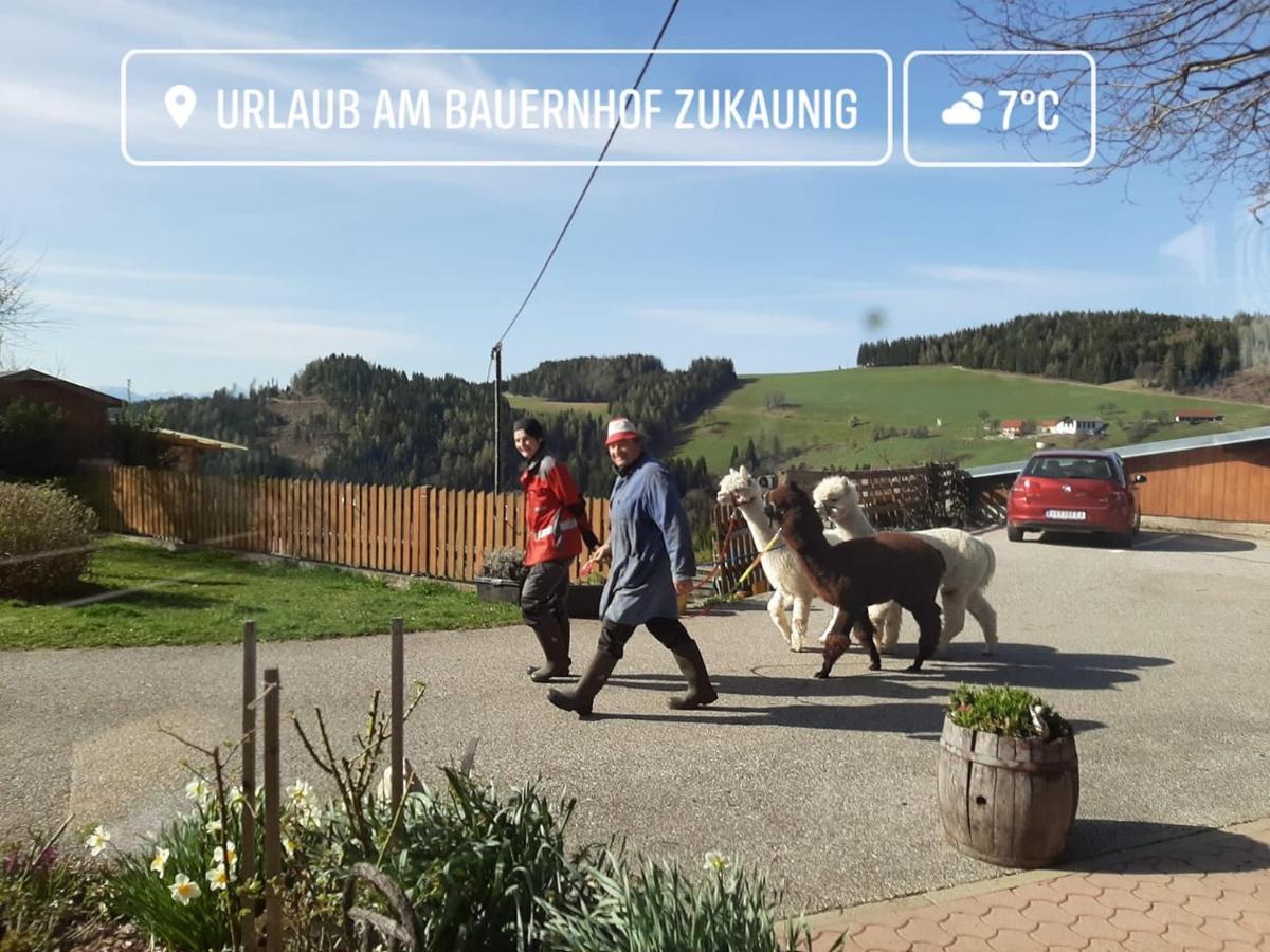 Zukaunighof Farm stay Diex